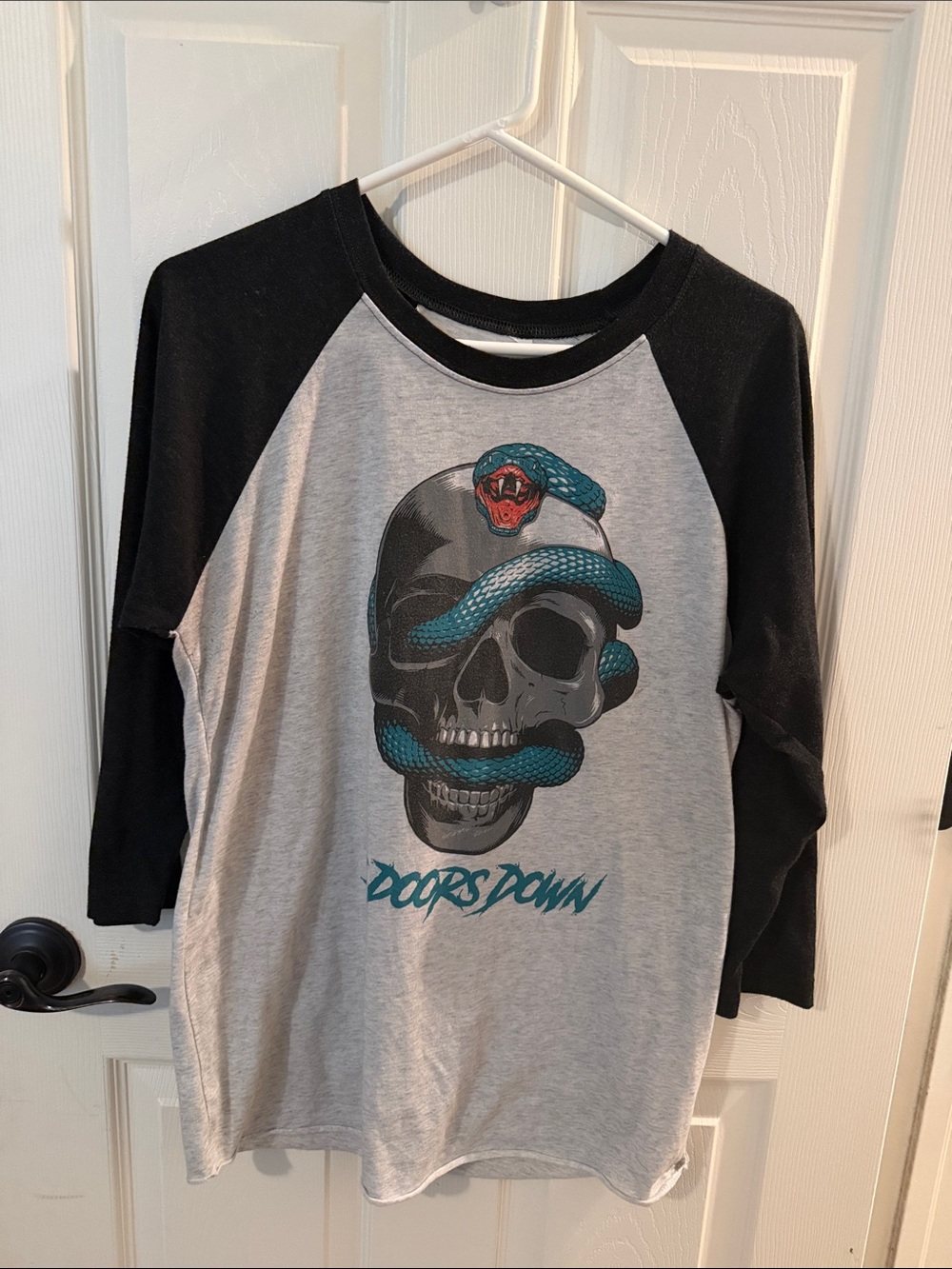 3 Doors Down Gray & Black Raglan Long-Sleeve Tee with Teal Snake Skull Graphic